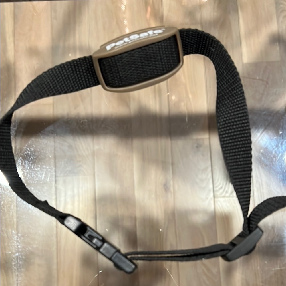 PetSafe Black Adjustable Dog Collar